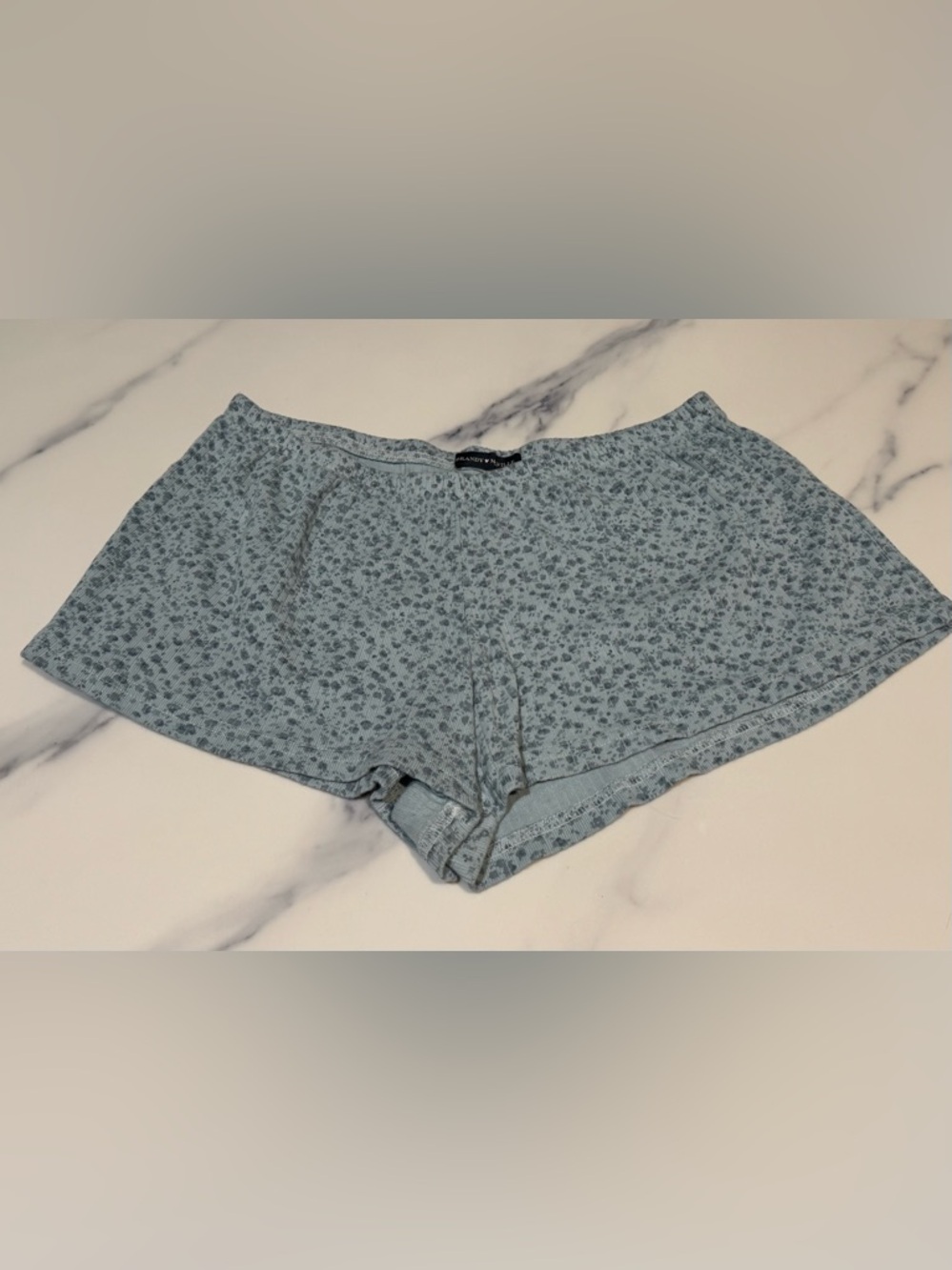 Brandy Melville Blue Lounge Thermal Knit Shorts